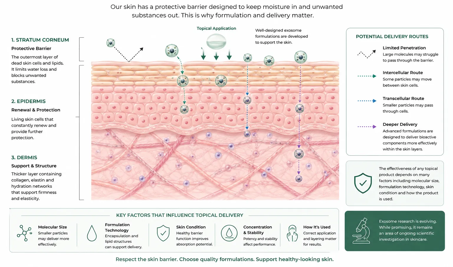 SKIN BARRIER